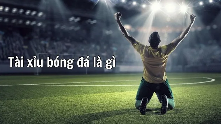 Phân Tích Xu Hướng Kèo Tài Xỉu Bóng Đá Tại BongDaLu Cho Mọi Giải Đấu