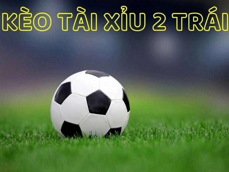 Phân Tích Xu Hướng Kèo Tài Xỉu Bóng Đá Tại BongDaLu Cho Mọi Giải Đấu