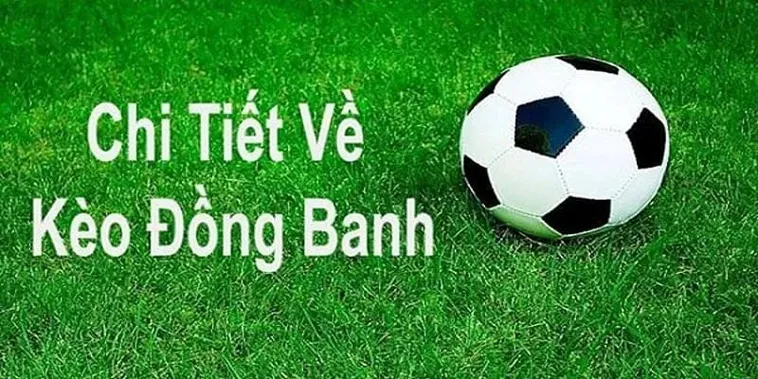 Phân Tích Chuyên Sâu Kèo Đồng Banh Tại BongDaLu Cho Các Trận Cầu Cân Sức