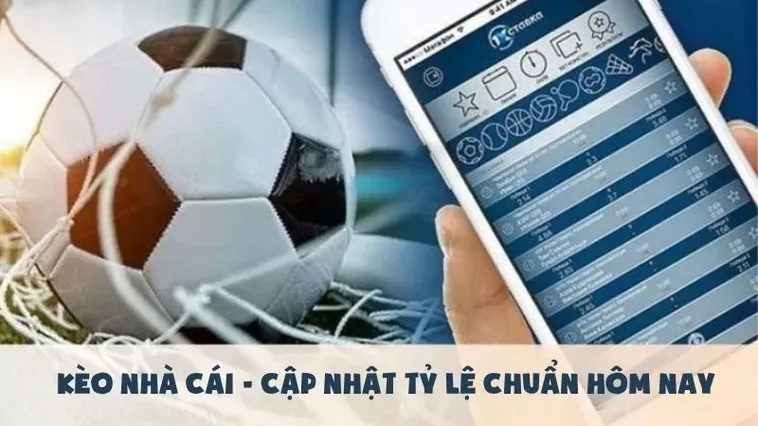Chiến Lược Phân Tích Kèo Tài Xỉu Hiệp 2 Tại BongDaLu Chính Xác