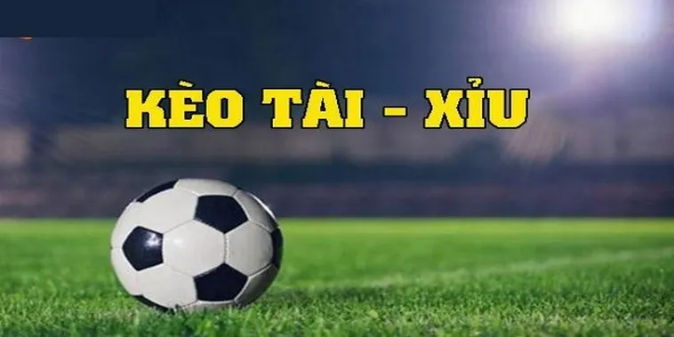Chiến Lược Phân Tích Kèo Tài Xỉu Hiệp 2 Tại BongDaLu Chính Xác