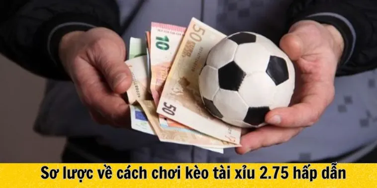 Kèo 2.75 Tại BongDaLu Chiến Thuật Đầu Tư Tài Xỉu Hiệu Quả Cho Người Chơi