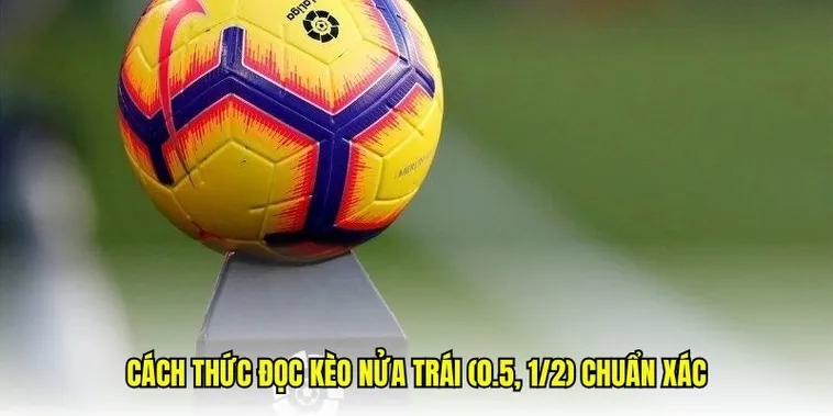 Kèo Chấp 0.5 Tại BongDaLu Phân Tích Kỹ Thuật Và Chiến Lược Đầu Tư Thông Minh