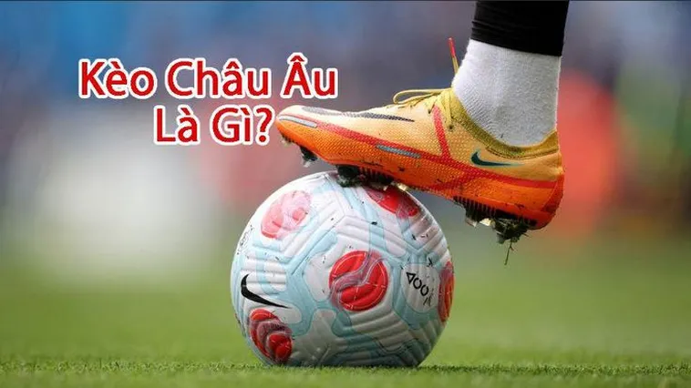 Phân Tích Kỹ Thuật Kèo Châu Âu Tại BongDaLu Để Nâng Cao Hiệu Quả Đầu Tư