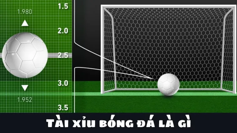 Phân Tích Xu Hướng Kèo Tài Xỉu Bóng Đá Tại BongDaLu Cho Mọi Giải Đấu