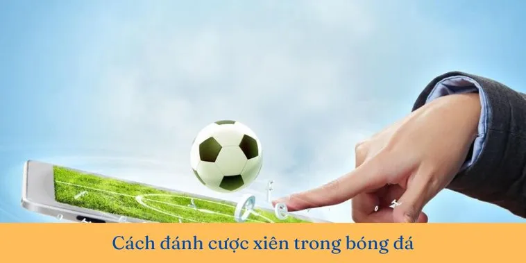 Kèo Xiên Trong Bóng Đá Tại BongDaLu Giải Pháp Đột Phá Lợi Nhuận Năm 2026